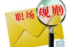 职场规则,解码高效沟通与团队协作