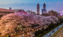 吃瓜爆料每日大赛最新动态 吃瓜抖音,揭秘热门事件幕后真相！”